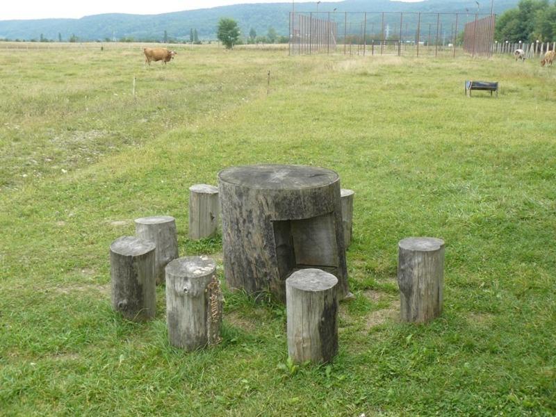 Pensiunea ,,La Struti" Târgu Neamț Zewnętrze zdjęcie
