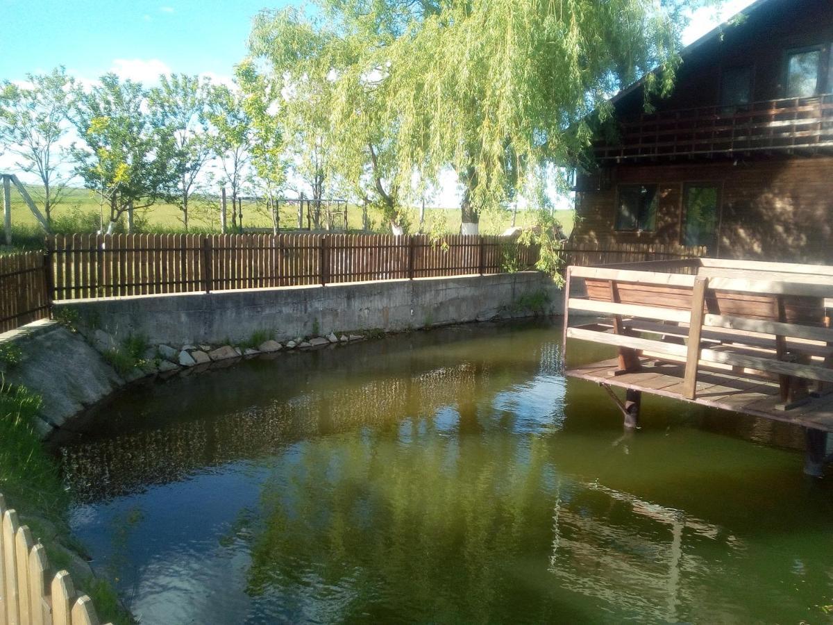 Pensiunea ,,La Struti" Târgu Neamț Zewnętrze zdjęcie