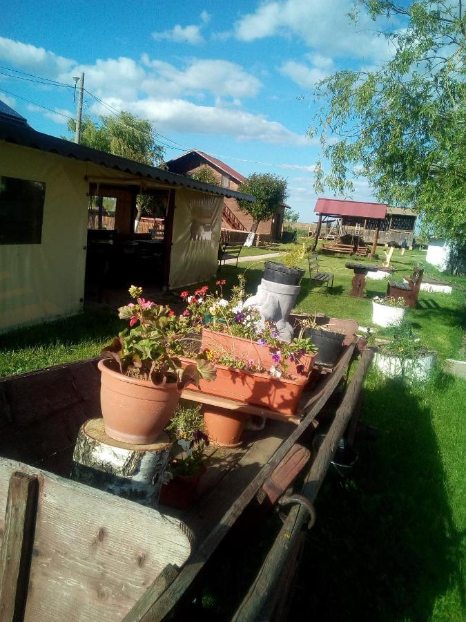 Pensiunea ,,La Struti" Târgu Neamț Zewnętrze zdjęcie